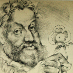 Rudolf II